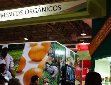 Novos alimentos da Korin no mercado