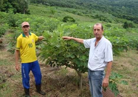 Feira Ecológica promove tomate orgânico Feira Ecológica promove tomate orgânico