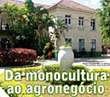 Panorama Rural – Da monocultura ao agronegócio