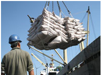 Arábia Saudita conhece oportunidades do agronegócio brasileiro