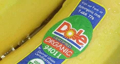 Fazenda de banano orgânica ganha prêmio de varejista Fazenda de banano orgânica ganha prêmio de varejista