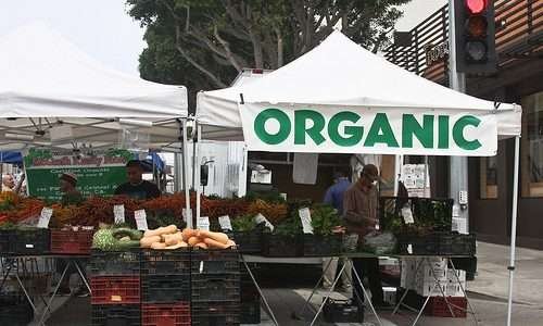 OrganicsNet na feira orgânica de Santa Monica, California