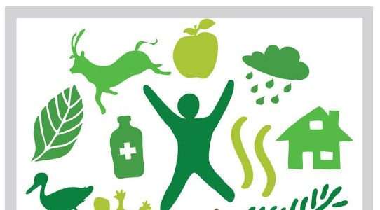 2011 – O Ano Internacional das Florestas