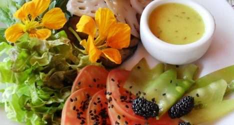Gastronomia Orgânica (Entrevista)
