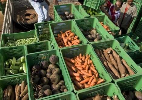 PAA vai beneficiar 270 mil agricultores familiares em 2012