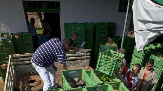 PAA vai beneficiar 270 mil agricultores familiares em 2012