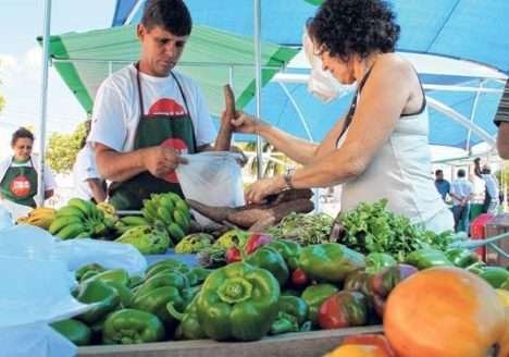 Paraíba lidera produção Paraíba lidera produção