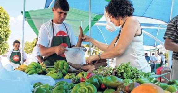 Paraíba lidera produção