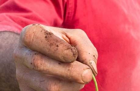 Prefeito incentiva formação de agricultores