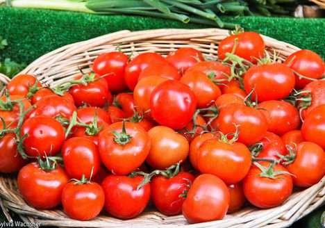 Propriedades e riquezas do tomate orgânico Propriedades e riquezas do tomate orgânico