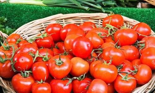 Propriedades e riquezas do tomate orgânico