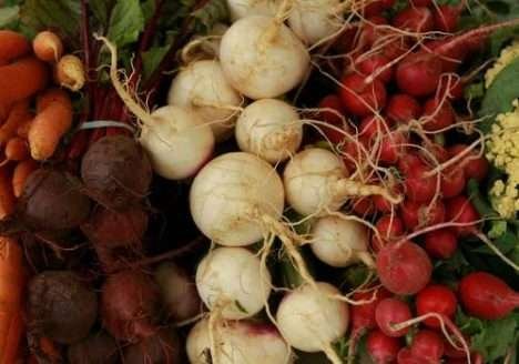 Alimentos orgânicos e convencionais frente a frente Alimentos orgânicos e convencionais frente a frente