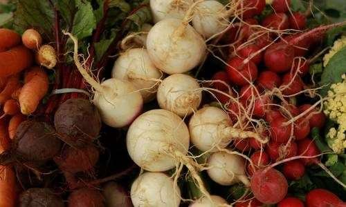 Alimentos orgânicos e convencionais frente a frente