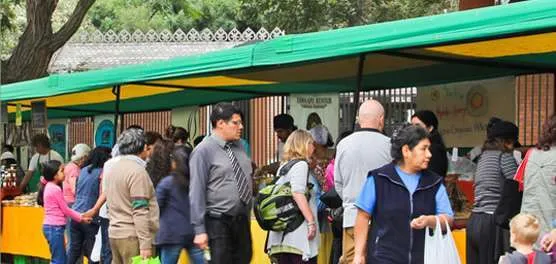 Atual situação e perspectivas da agricultura orgânica e sua relação com a América Latina