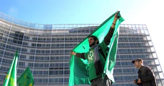 Conquistas do movimento orgânico em 2012