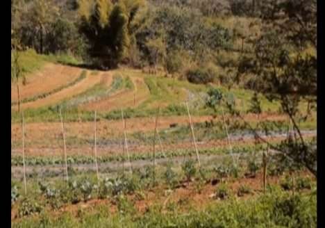 Globo Ecologia discute agricultura orgânica no Brasil