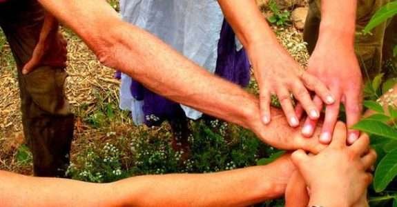 Projeto promove intercâmbio com agricultura sustentável