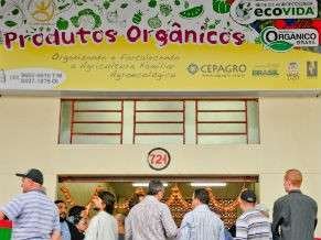 box_de_produtos_agoecologicos_291x218