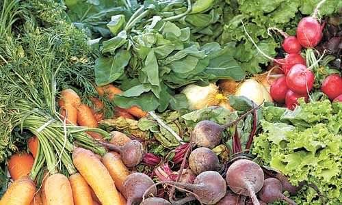 Cresce consumo de orgânicos no DF