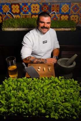 tn_280_651_chefmarceloamaral-organicos