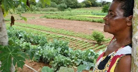 Construção de mercado: Cooperativa Ecoserra