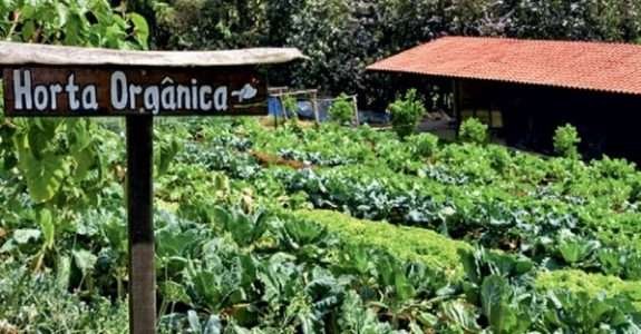 UENP realizará auditoria para certificação de produtos orgânicos