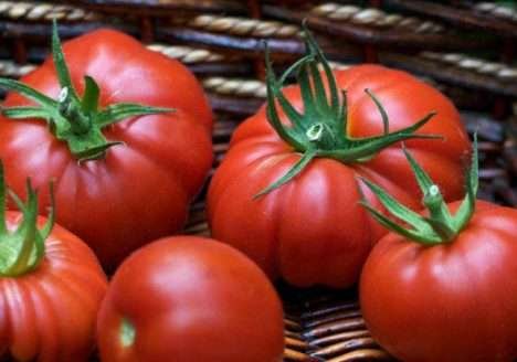 Produção de orgânicos cresceu mais de 300% em 12 anos Produção de orgânicos cresceu mais de 300% em 12 anos