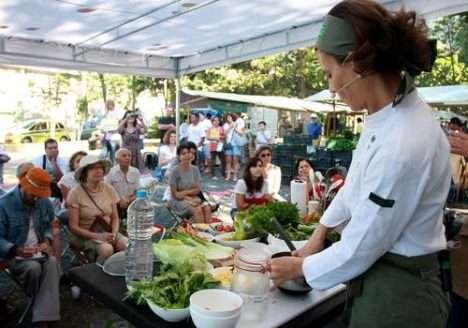 Agricultores de MS adotam plantio de café orgânico