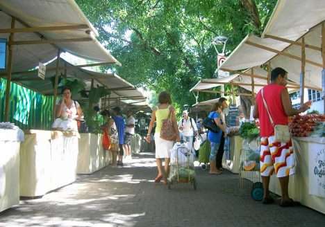 Circuito de feiras mudou o cenário da produção e do comércio de orgânicos no Rio de Janeiro