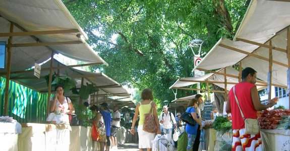 Circuito de feiras mudou o cenário da produção e do comércio de orgânicos no Rio de Janeiro