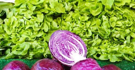 Falta de assistência técnica e crédito trava produção de orgânicos em MT