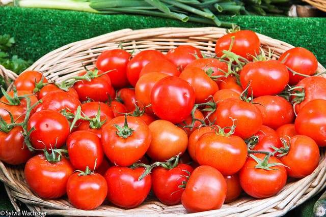 tomate