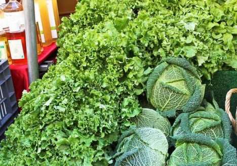 Produção orgânica de hortaliças: oportunidade de produzir alimentos saudáveis