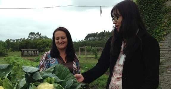 Em crise, fumicultores encontram alternativa em produtos orgânicos