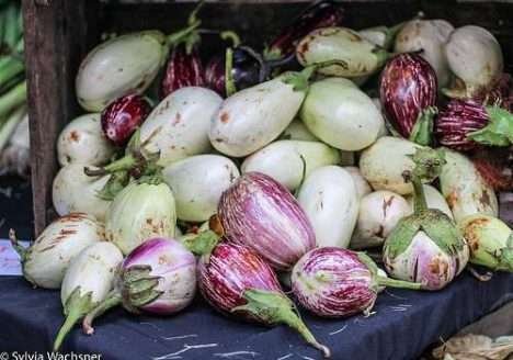Visite a feira Greenmarket, com o OrganicsNet