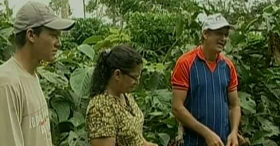 Guaraná orgânico: de Rondônia para França