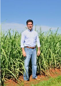 Inclusão de produtos orgânicos e de base agroecológica em merenda escolar