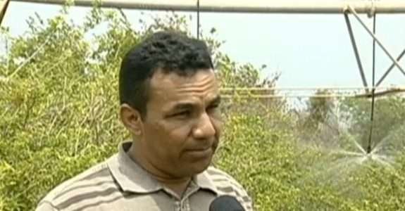 Projeto de irrigação no Piauí investe na produção de orgânicos