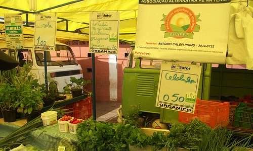 Paraná certifica propriedades agrícolas de forma gratuita