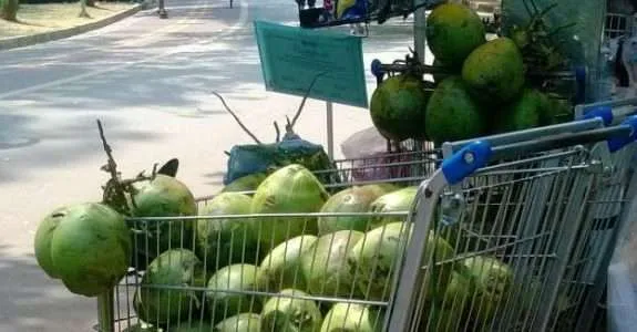 Soluções para o desperdício de alimentos