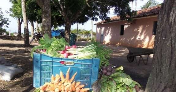 Produção Agroecológica Integrada e Sustentável na Paraíba