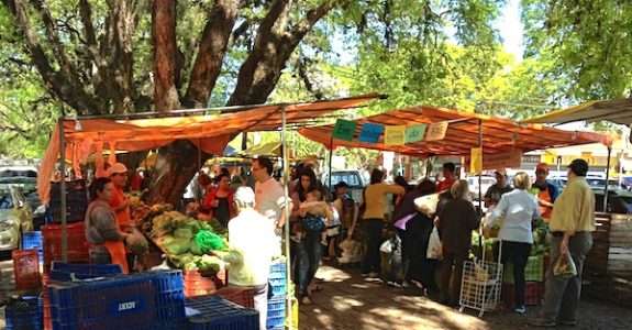 Feira Ecológica movimenta produção orgânica de Porto Alegre