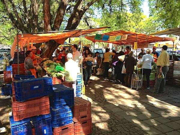feira-organica-redenção