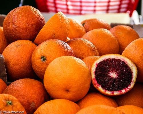 fonte: OrganicsNet