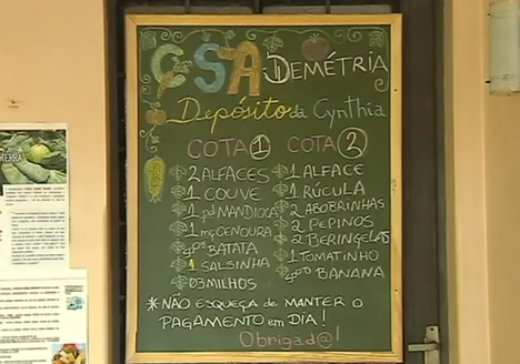Sistema CSA auxilia na comercialização de orgânicos