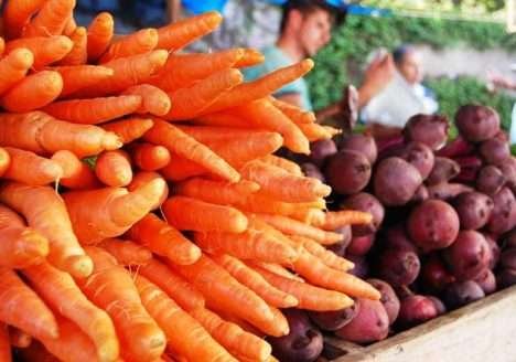 Produção de alimentos orgânicos cresce no Espirito Santo Produção de alimentos orgânicos cresce no Espirito Santo