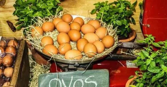 Estudo do sistema agroindustrial de produtos orgânicos no Estado de São Paulo