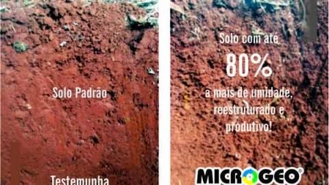 foto: Microgeo