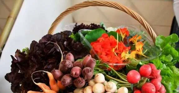 Mercado e produção de hortifrutícolas orgânicas Mercado e produção de hortifrutícolas orgânicas