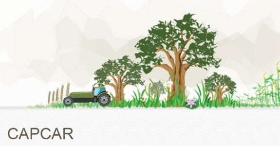 CapCAR: Curso de capacitação oferece 31 mil vagas